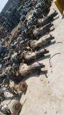 گیربکس روآ و آردی شفت پژویی فابریکی